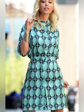 Zara Twiggy Dress